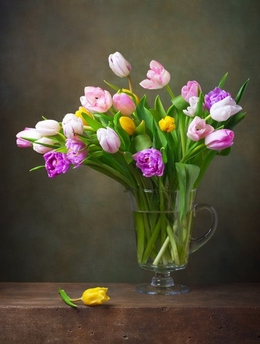 Still Life