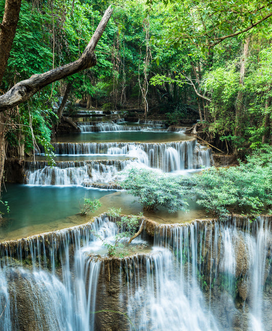 Deep forest falls