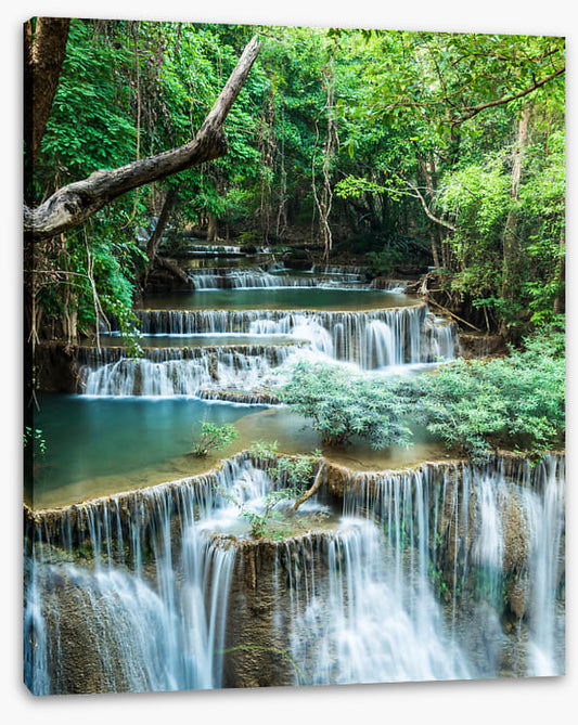 Deep forest falls