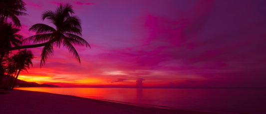 Tropical sunset panorama