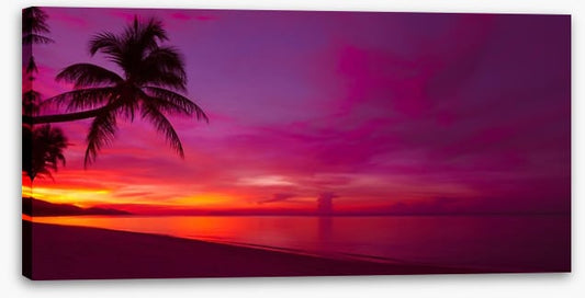 Tropical sunset panorama