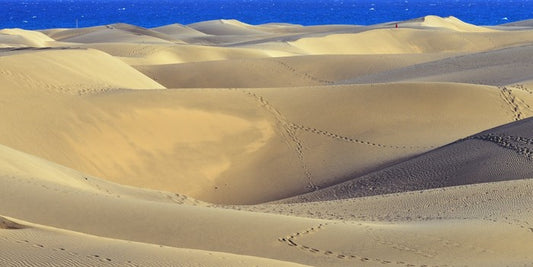 Desert