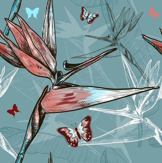 Butterflies