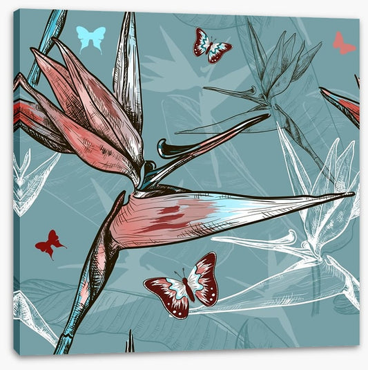 Butterflies
