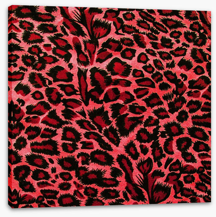Hot pink leopard