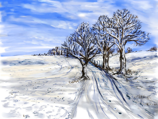 Winter