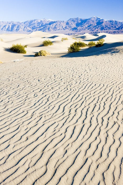 Desert