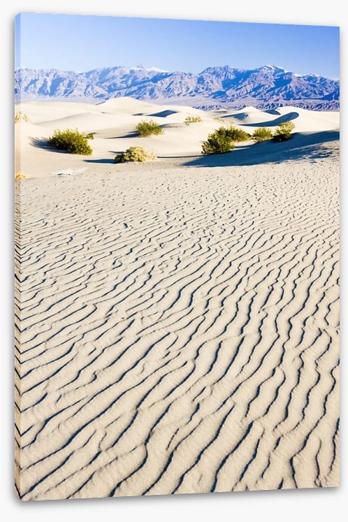 Desert