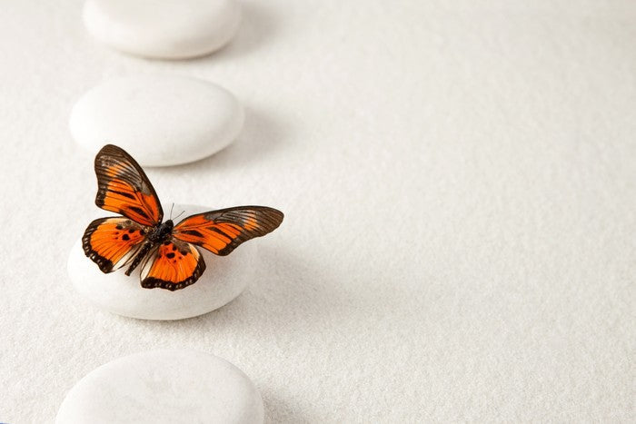 White stones and butterfly