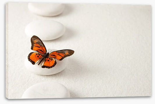 White stones and butterfly