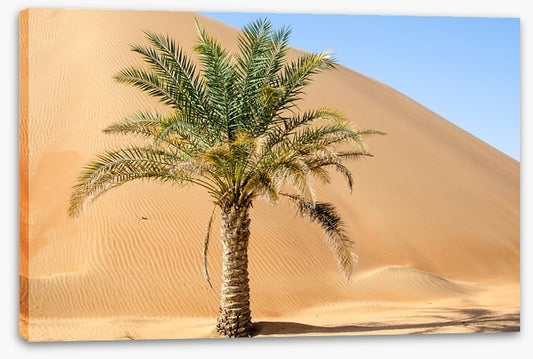 Desert