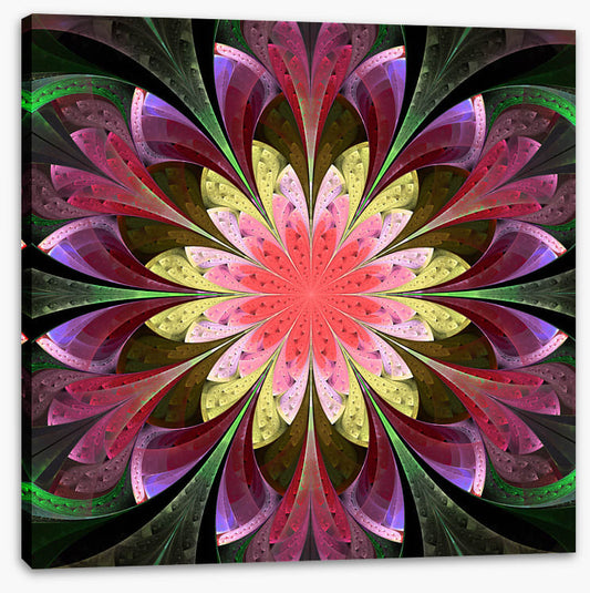 Stained Glass