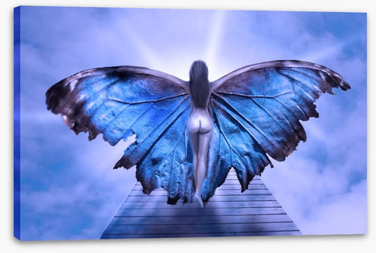 Metamorphosis