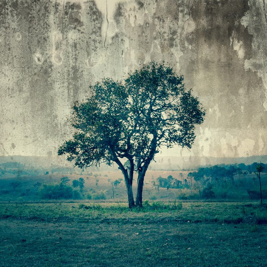 Alone