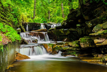 Green forest falls