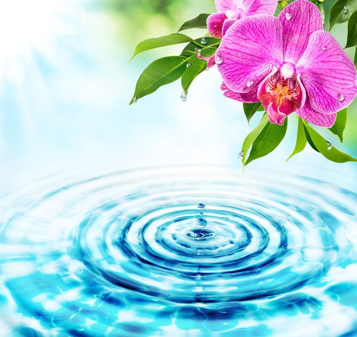Rejuvenation