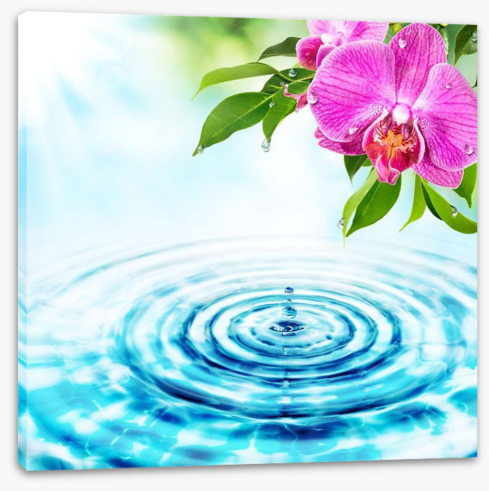 Rejuvenation