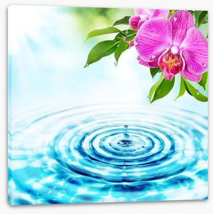 Rejuvenation
