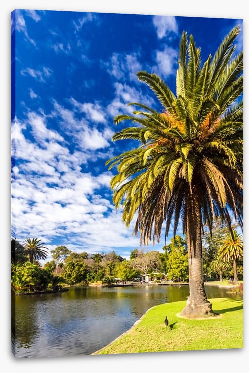 By the ornamental lake