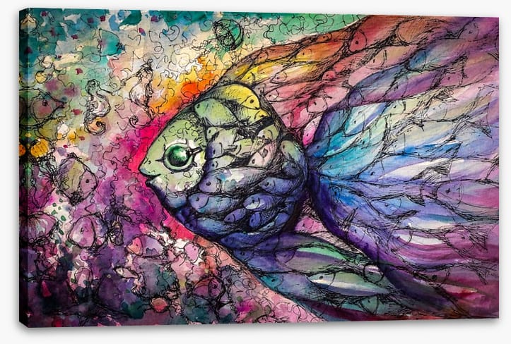 Rainbow fishes