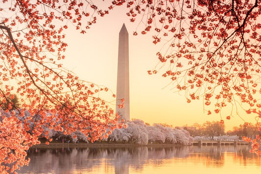 Golden blossom memorial