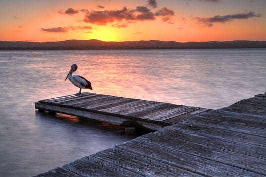 Sunset at Long Jetty