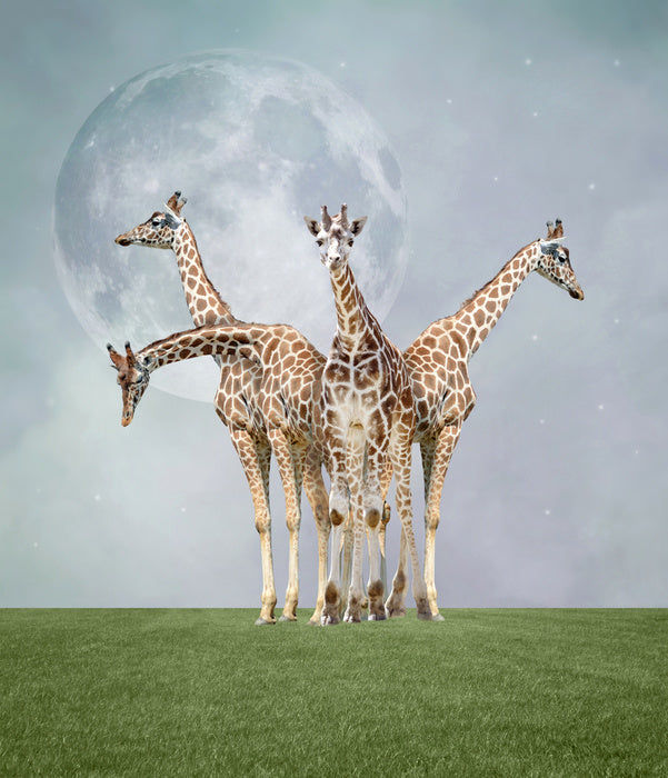 Kiss the moon