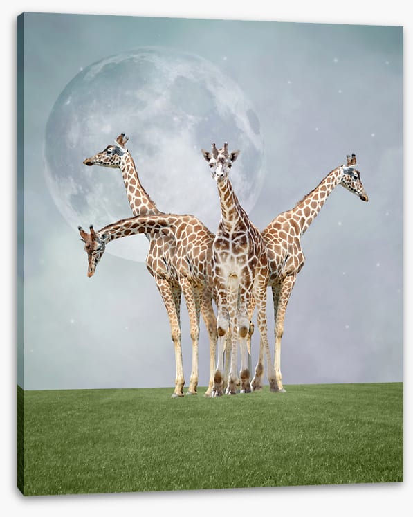 Kiss the moon