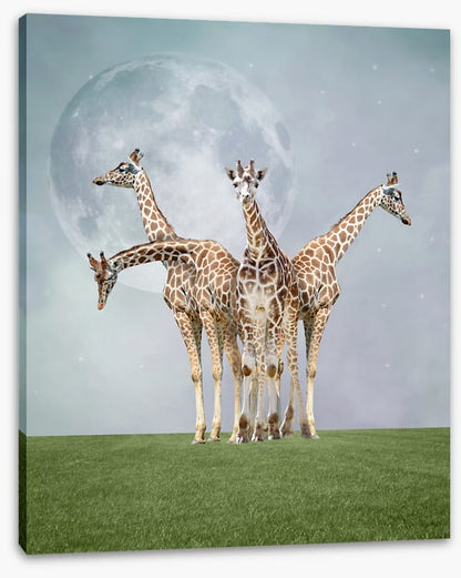 Kiss the moon