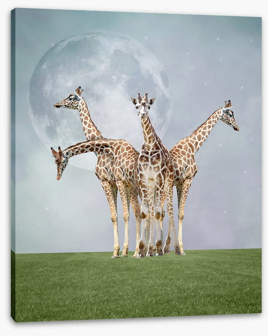 Kiss the moon