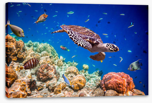 Swimmingly