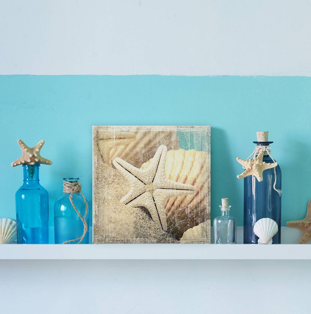 Shells and starfish