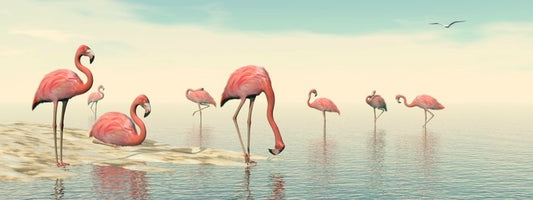 Pink flamingo flock