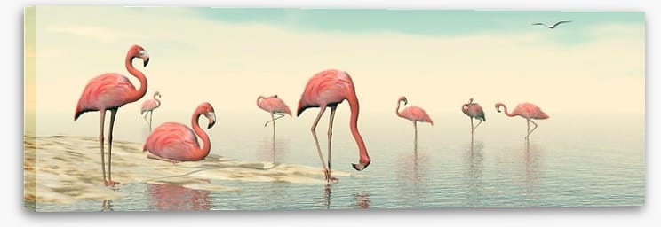 Pink flamingo flock