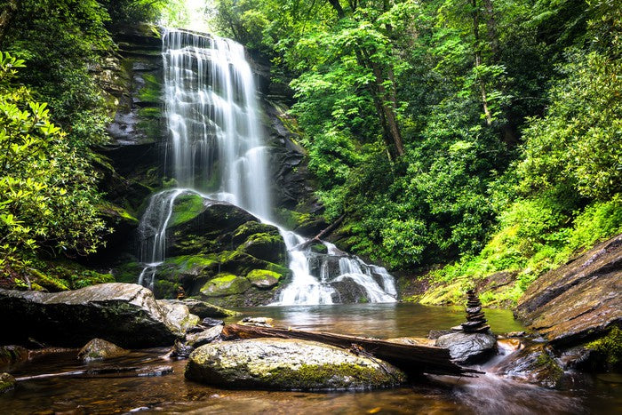 Mountain forest falls