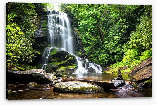 Mountain forest falls