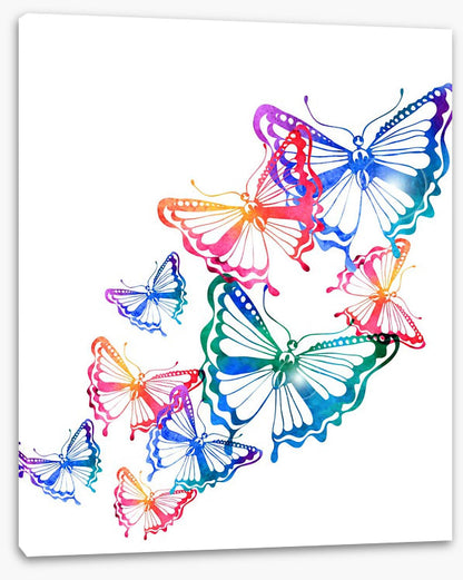 Butterflies