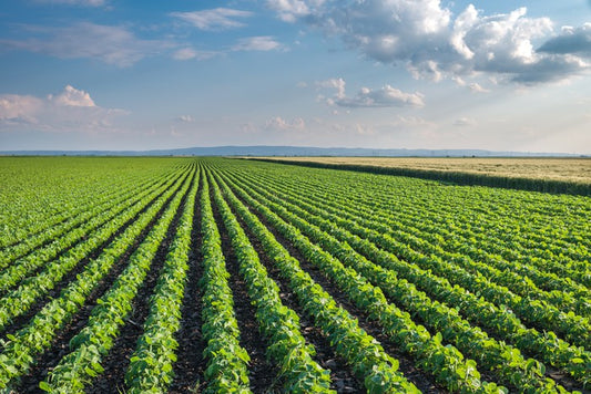 Agriculture