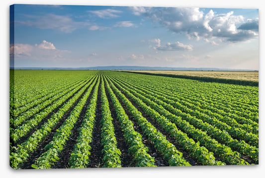Agriculture