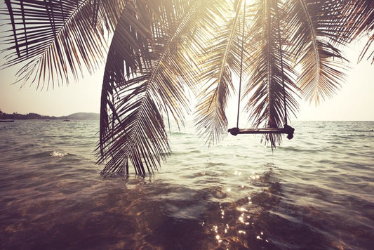 Palm frond swing