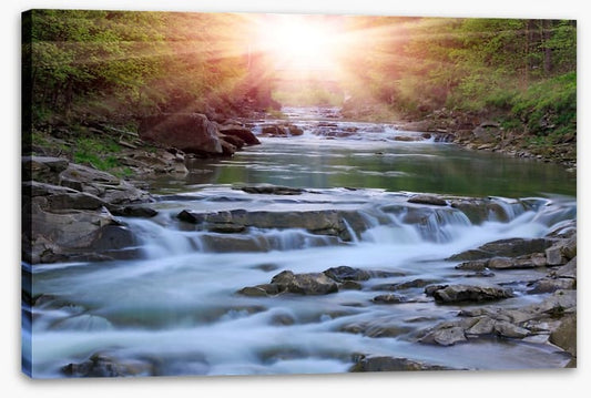 River rays