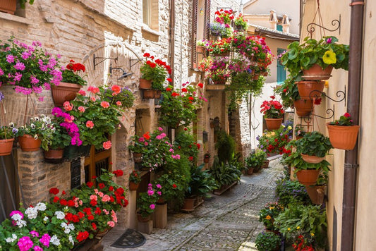 Hanging gardens of Umbria
