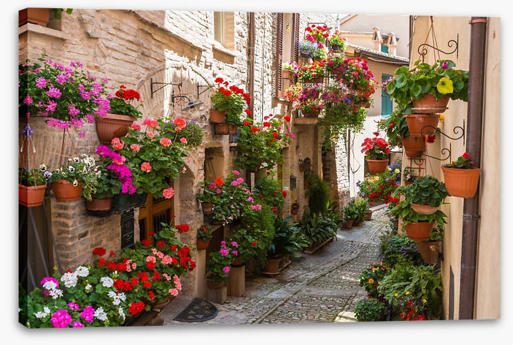 Hanging gardens of Umbria
