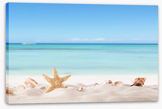 Summer beach with shells