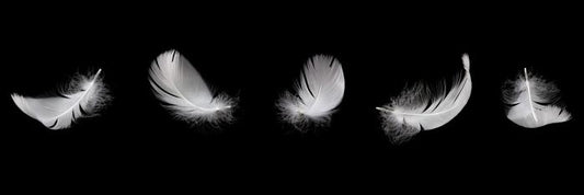 Five feathers