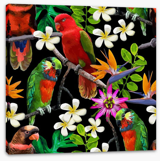 Exotic birds and frangipani