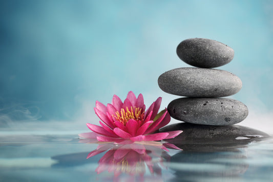 Rest and reflect