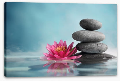 Rest and reflect