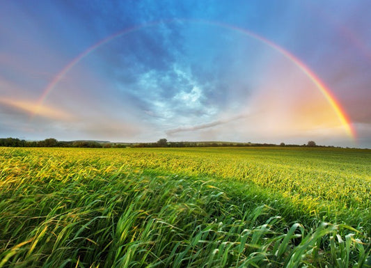 Rainbows