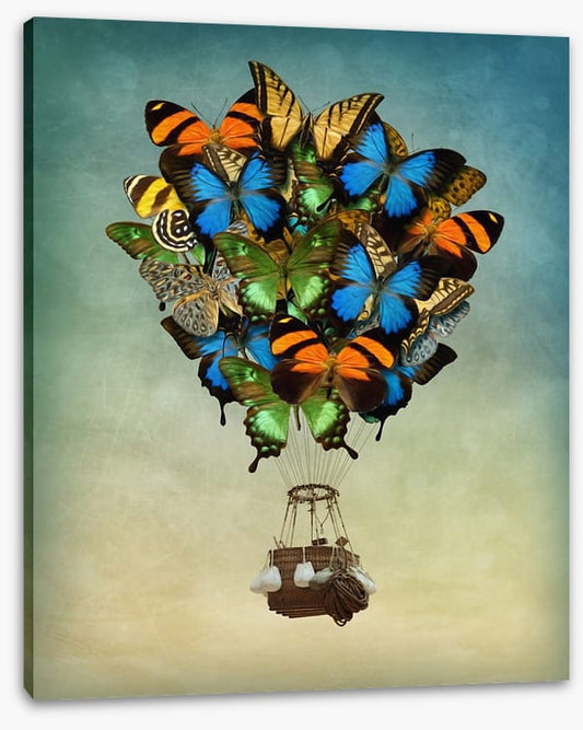 Butterfly balloon